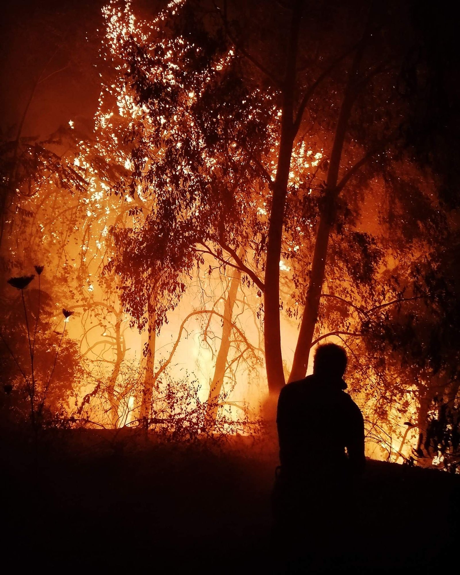 ZH Safety training and firefighting activity